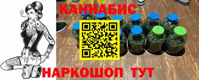 сатива Моздок