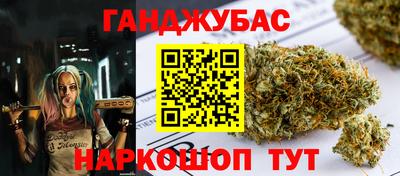 сатива Моздок