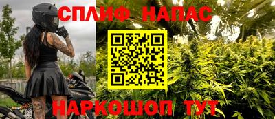 сатива Моздок