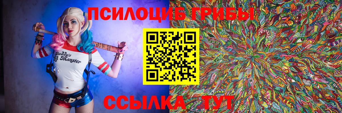 Псилоцибиновые грибы прущие грибы Ефремов