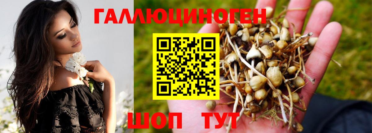 Псилоцибиновые грибы мицелий  закладка  Ефремов  Вход с VPN 